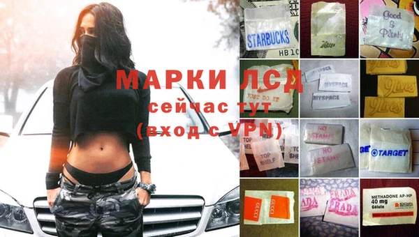 спайс Арсеньев