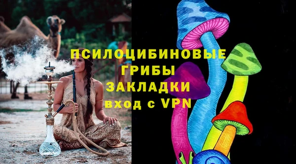 спайс Арсеньев