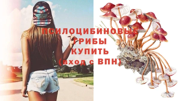 спайс Арсеньев